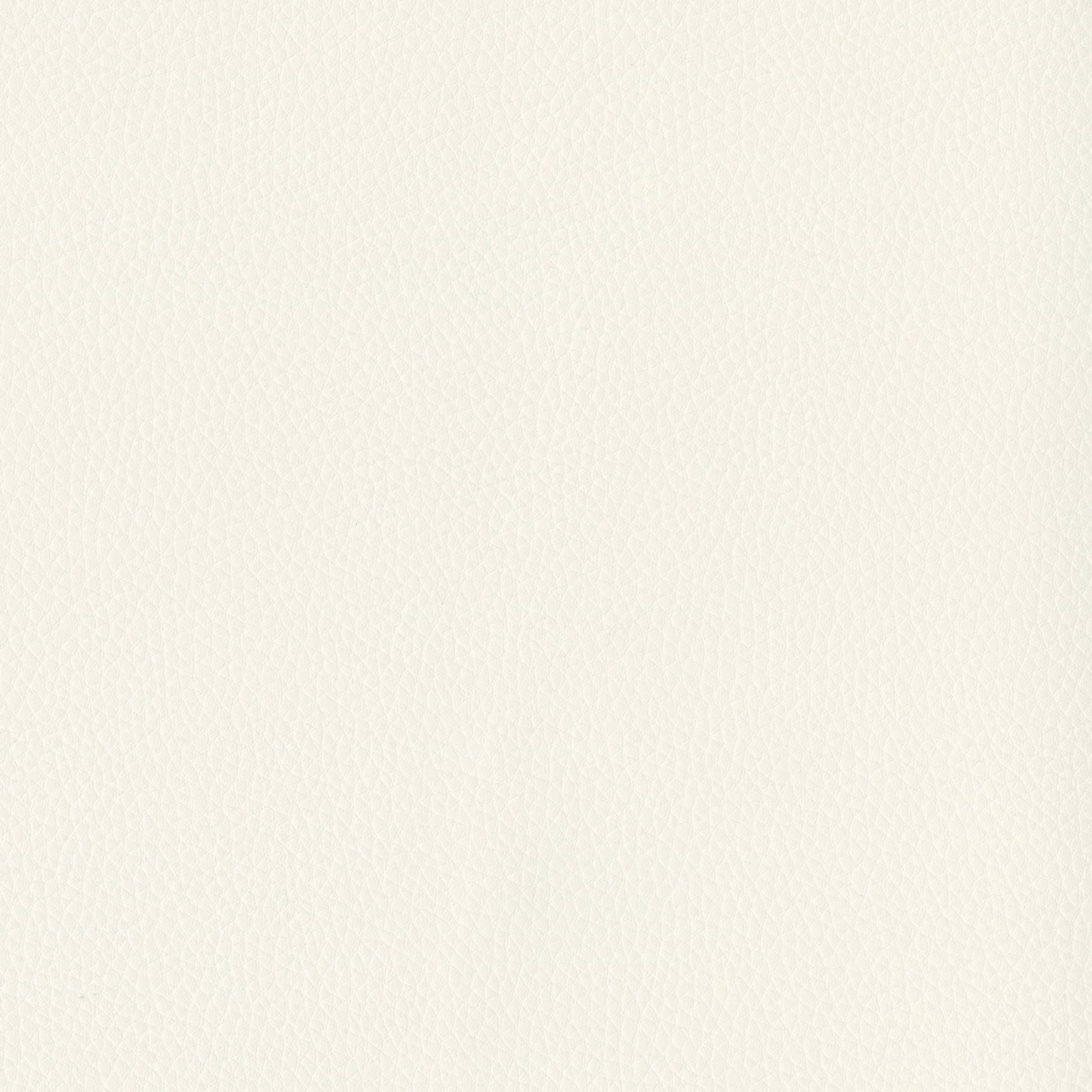 6823-01 Triton - Gardenia Swatch