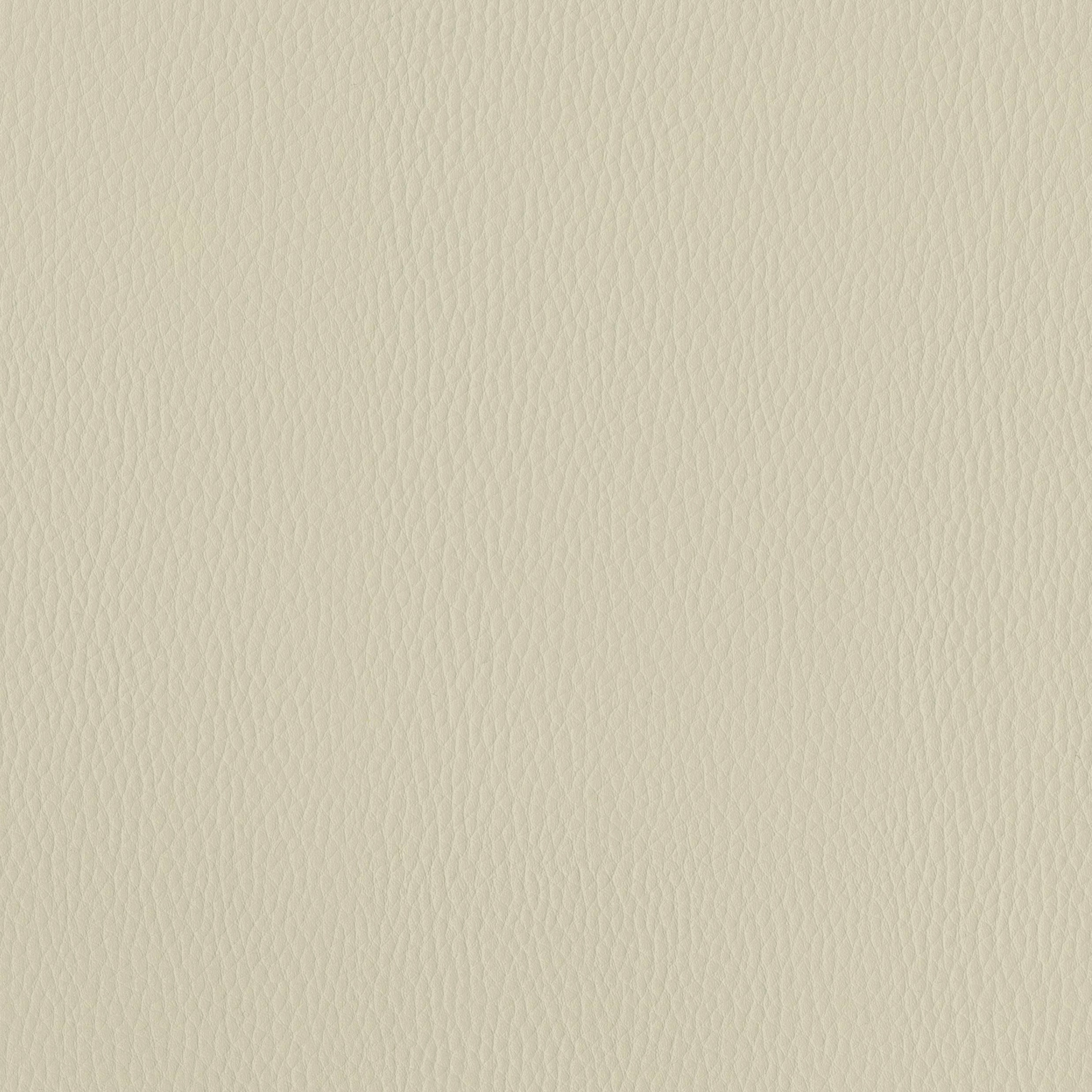6823-02 Triton - Buttermilk Swatch