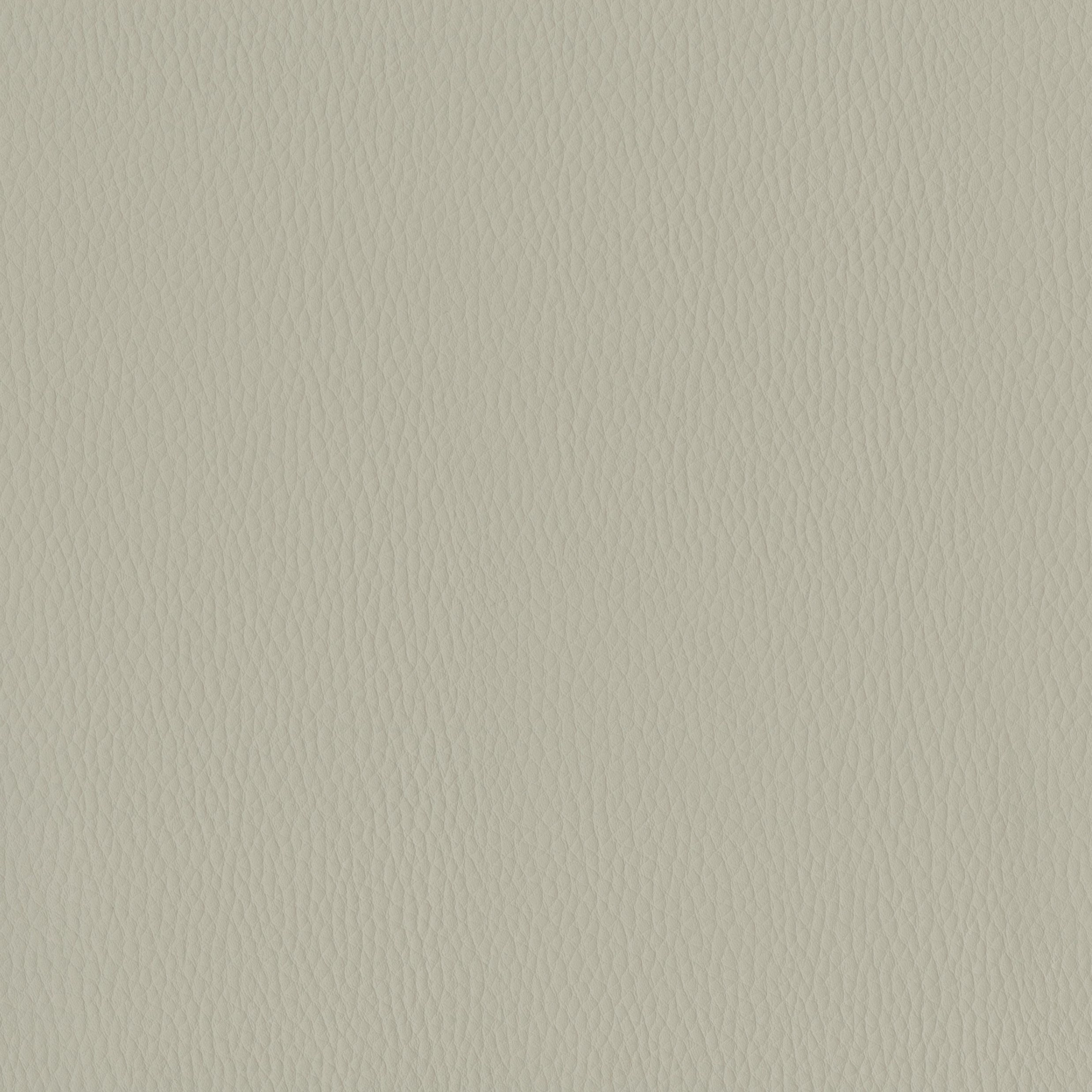 6823-03 Triton - Platinum Swatch