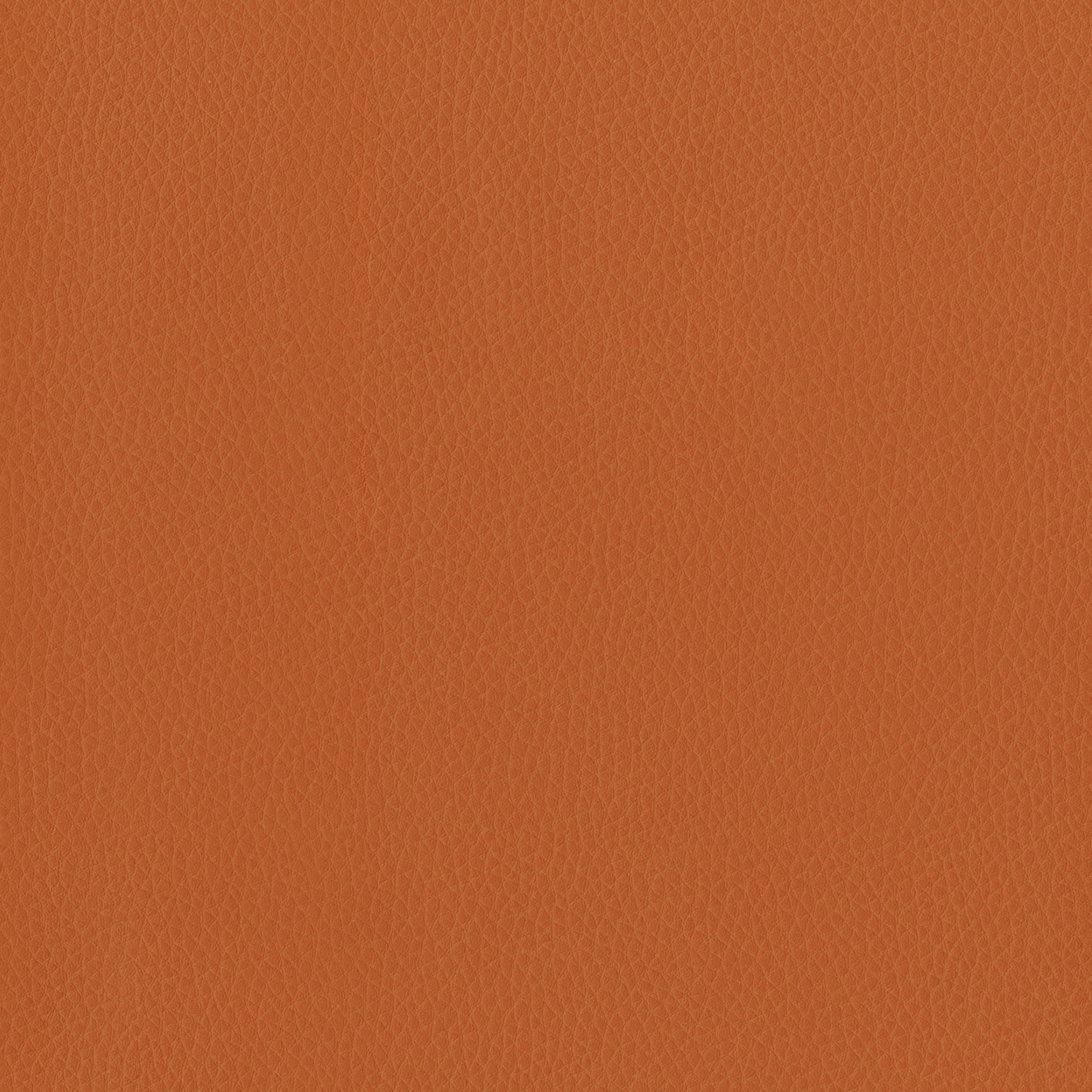 6823-09 Triton - Clementine Swatch