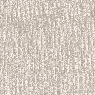 1206-03 Andes - Dove Swatch