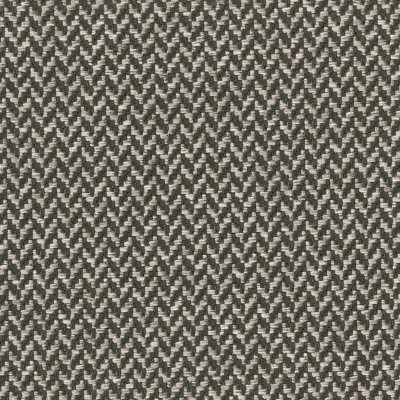 1207-08 Brushstroke - Siamese Cat Swatch