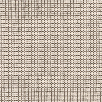 1210-03 Easel - Platinum Swatch