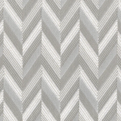 1223-01 Windsor - Platinum Swatch