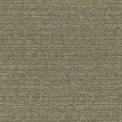 1225-07 Shiloh - Chimichurri Swatch