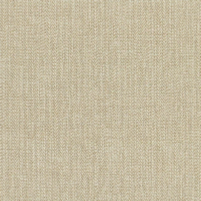 1239-02 Cabana - Toasted Coconut Swatch