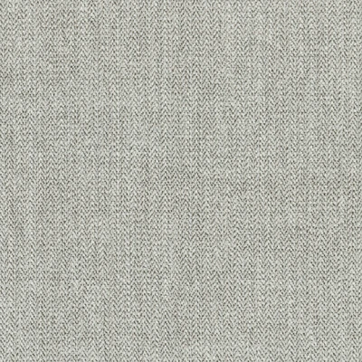 1239-03 Cabana - Alaskan Husky Swatch