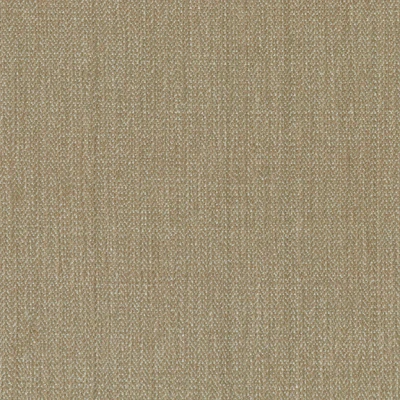 1239-04 Cabana - Fossil Swatch