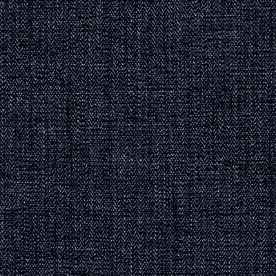 1239-11 Cabana - Midnight Swatch
