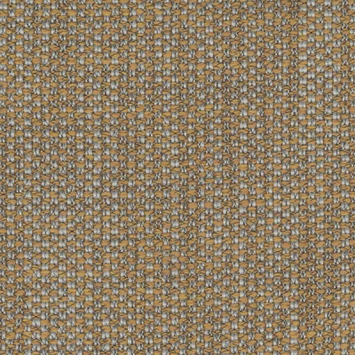 1241-06 Duet - Amber Light Swatch