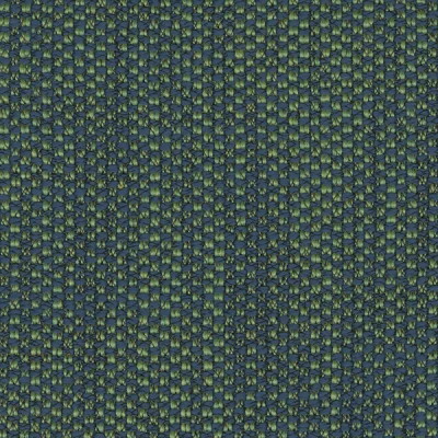 1241-09 Duet - Front Lawn Swatch