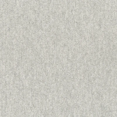 1556-01 Loch - Mercury Glass Swatch