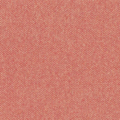 1556-04 Loch - Rhubarb Swatch