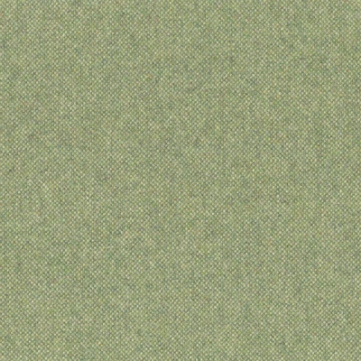 1556-06 Loch - Green Olive Swatch