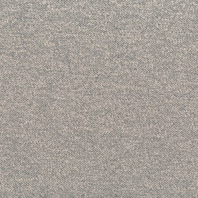 2311-04 Holbrook - Buckwheat Swatch