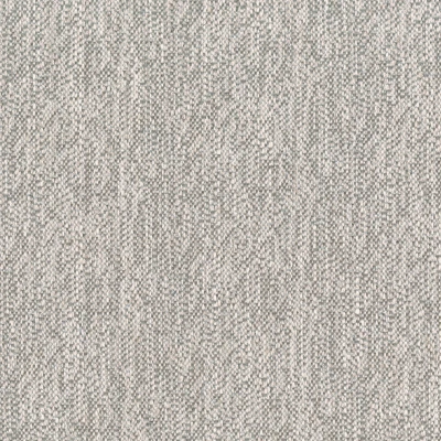 2320-06 Northbrook - Platinum Swatch