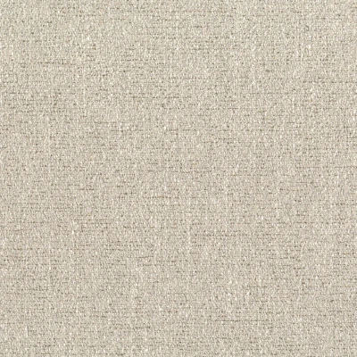 2323-01 Pemberley - Sculpture Swatch