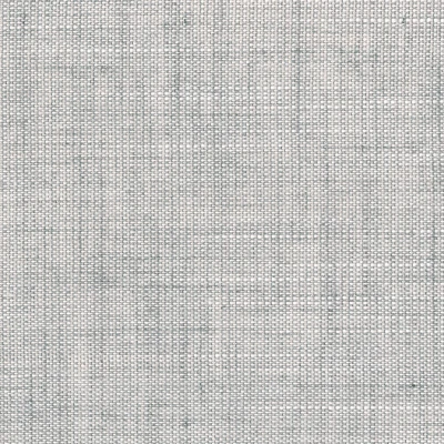 2606-04 Southdale - Silverfox Swatch