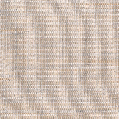 2606-05 Southdale - Sandstone Swatch