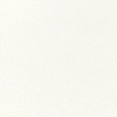 3105-01 Clairvoyant - Paper White Swatch