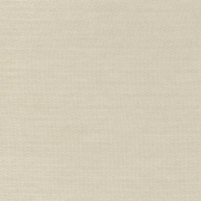 3105-02 Clairvoyant - Champagne Swatch
