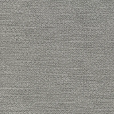 3105-03 Clairvoyant - Silverfox Swatch