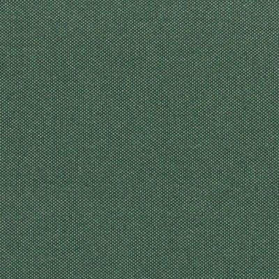 3150-05 Haven - Lacinato Kale Swatch