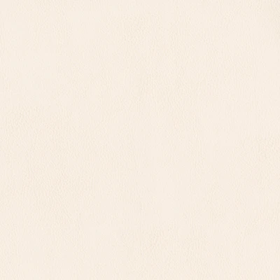 3981-01 Terrain - Eggshell Swatch