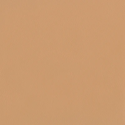 3981-04 Terrain - Ginger Swatch