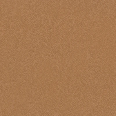 3981-05 Terrain - Butterscotch Swatch