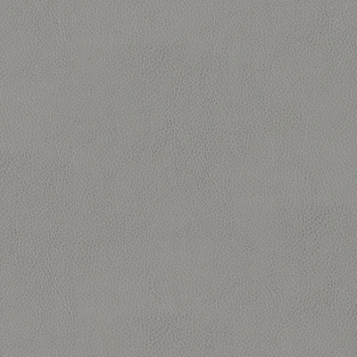 3981-07 Terrain - Ash Swatch