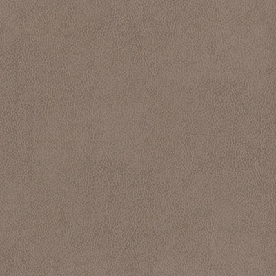 3981-09 Terrain - Portobello Swatch
