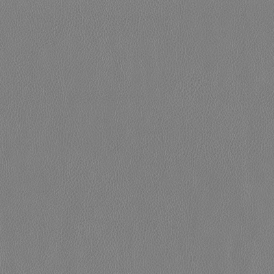 3981-10 Terrain - Elephant Swatch