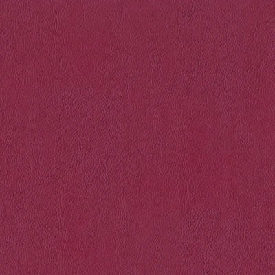 3981-12 Terrain - Cranberry Swatch 