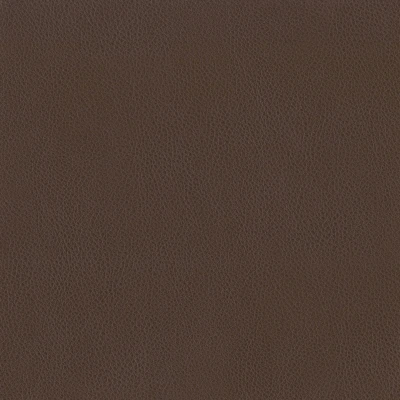 3981-14 Terrain - Truffle Swatch
