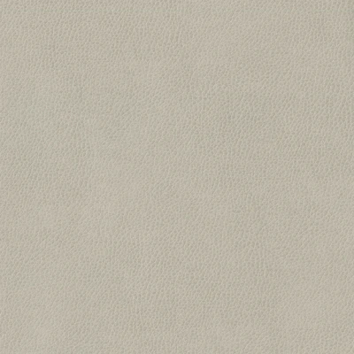 3991-03 Aerial - Manatee Swatch