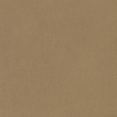 3991-06 Aerial - Butterscotch Swatch
