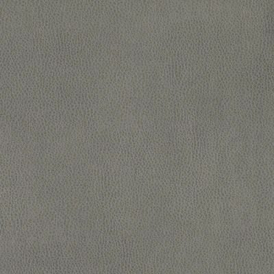 3991-09 Aerial - Ash Swatch