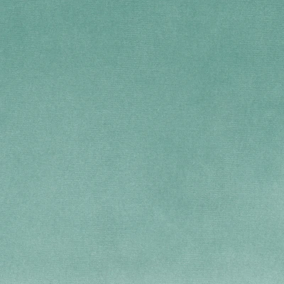 4237-05 Lutra - Seafoam Swatch