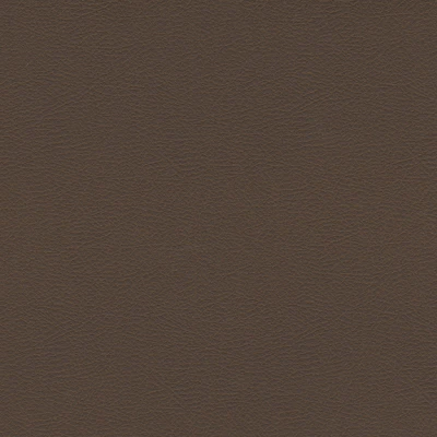 4244-09 Marvel - Cocoa Swatch