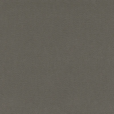 4244-10 Marvel - Elephant Swatch