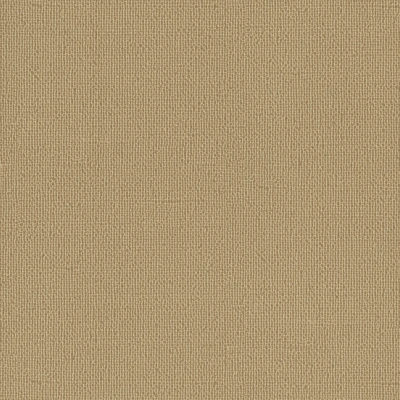 4245-07 Hush - Lioness Swatch