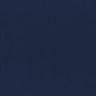 4290-11 Oracle - Midnight Swatch
