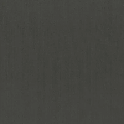 4290-13 Oracle - Graphite Swatch