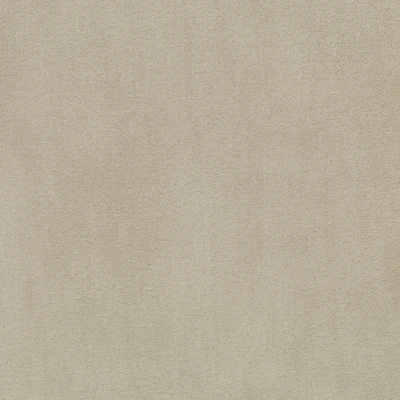 4296-01 Nimbus - Fennec Fox Swatch