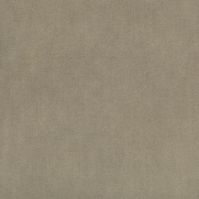 4296-02 Nimbus - Desert Cottontail Swatch