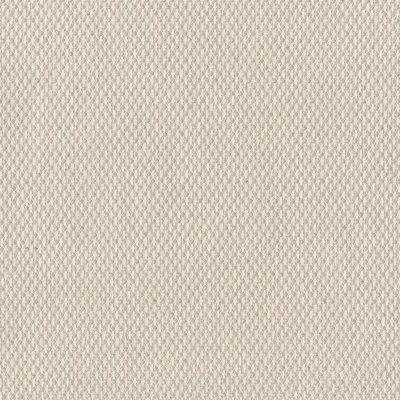 4322-02 Quickstep - Horseradish Swatch