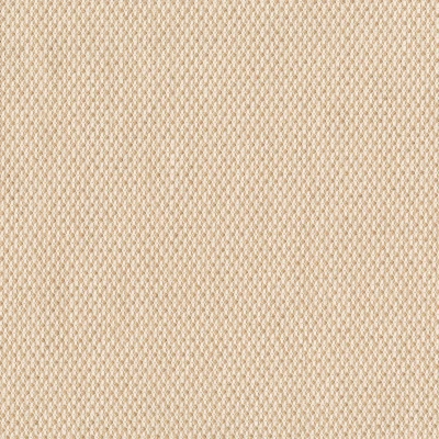 4322-05 Quickstep - Honey Blonde Swatch