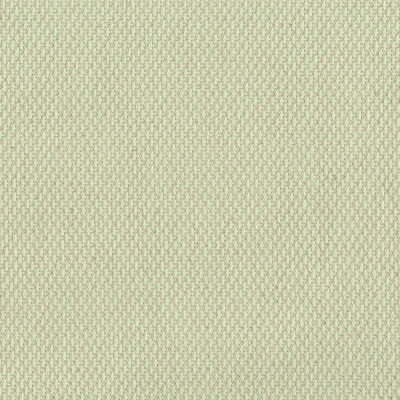 4322-09 Quickstep - Spearmint Swatch