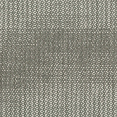 4322-15 Quickstep - Ash Swatch